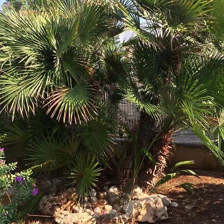 Πανσιόν Palese Profumo Di Mare 2*