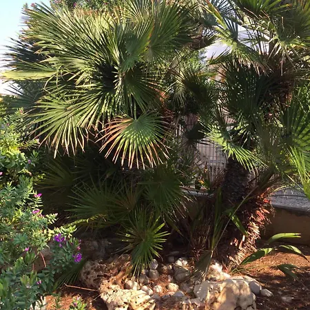 Palese Profumo Di Mare